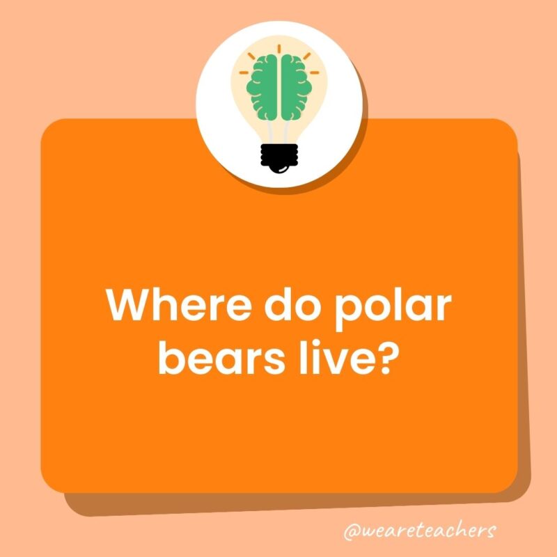 Where do polar bears live? Where do polar bears live?