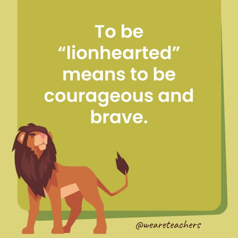 To be “lionhearted” means to be courageous and brave. To be “lionhearted” means to be courageous and brave.
