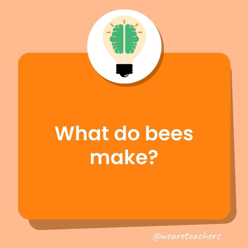 Trivia questions for kids: What do bees make? Trivia questions for kids: What do bees make?
