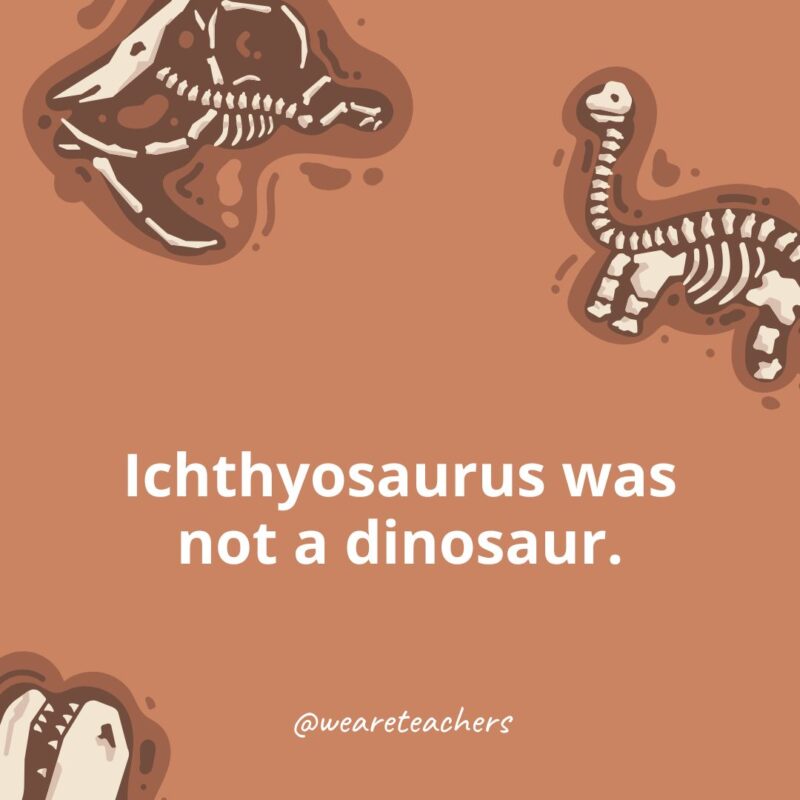 Ichthyosaurus was not a dinosaur. Ichthyosaurus was not a dinosaur.