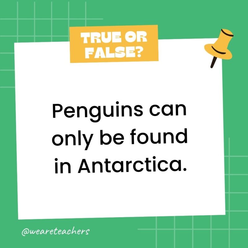 Penguins can only be found in Antarctica.- true or false questions Penguins can only be found in Antarctica.- true or false questions