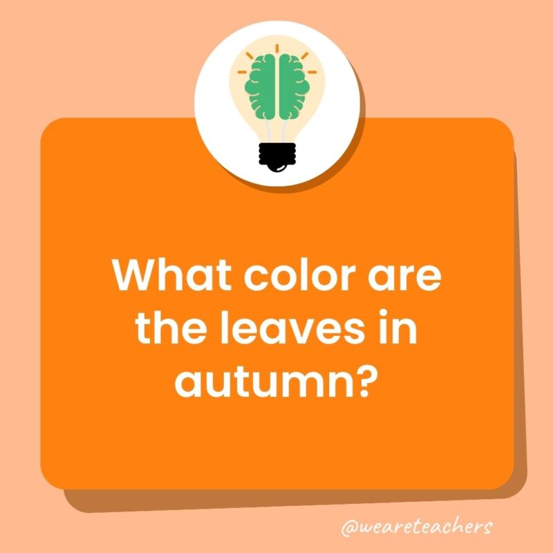 What color are the leaves in autumn? What color are the leaves in autumn?