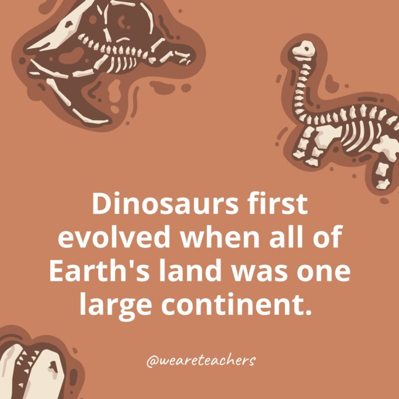 Dinosaurs first evolved when all of Earth’s land was one large continent. Dinosaurs first evolved when all of Earth's land was one large continent.