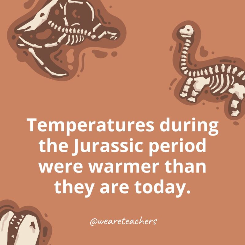 Temperatures during the Jurassic period were warmer than they are today. Temperatures during the Jurassic period were warmer than they are today.-dinosaur facts for kids