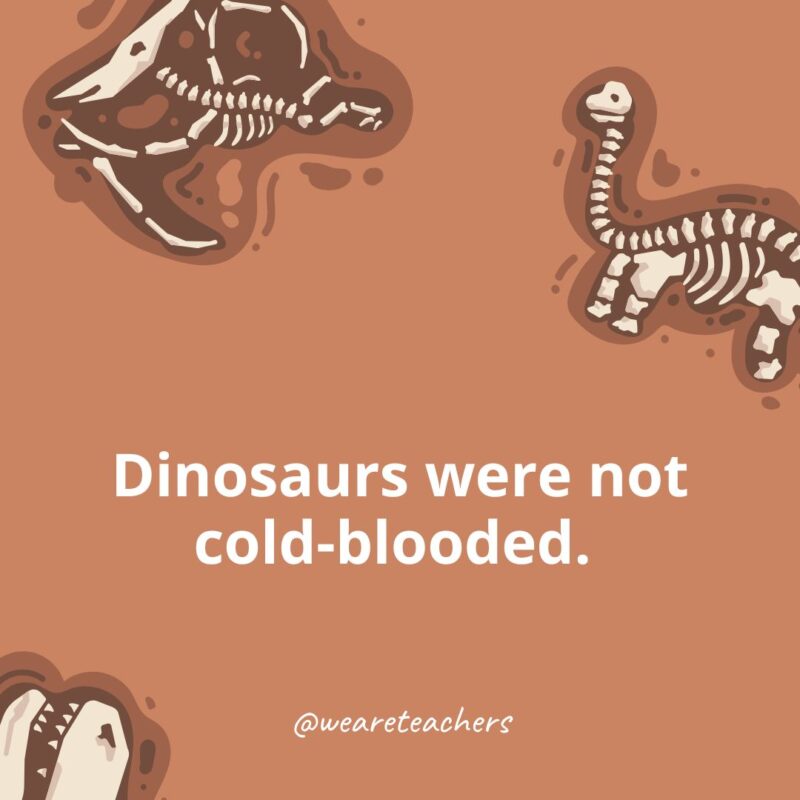Dinosaurs were not cold-blooded. Dinosaurs were not cold-blooded.