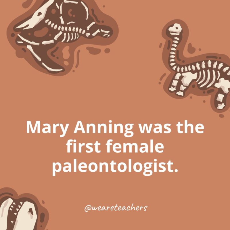 Mary Anning was the first female paleontologist. Mary Anning was the first female paleontologist.-dinosaur facts for kids