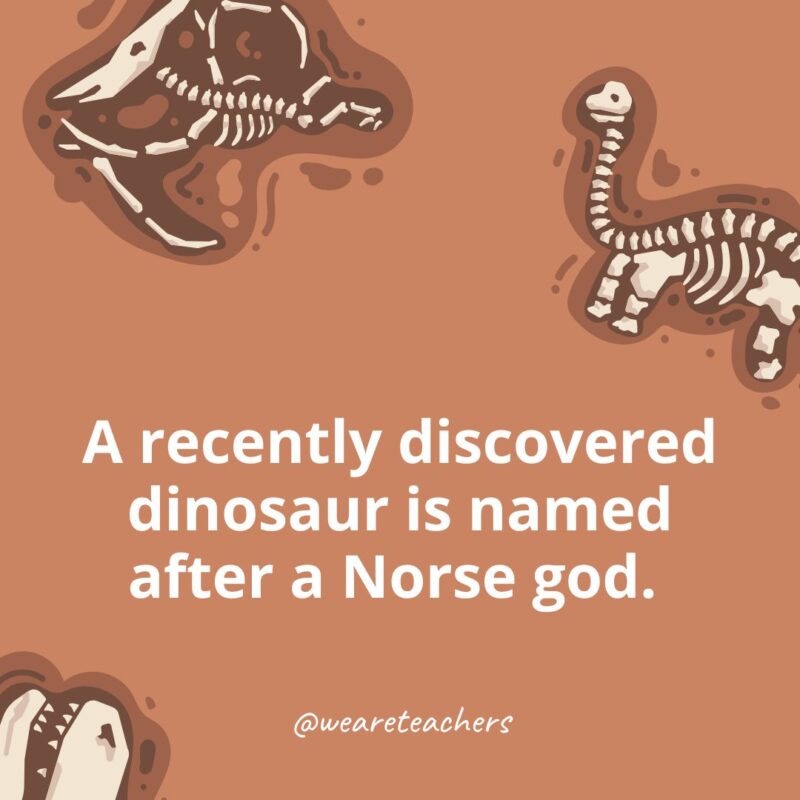 A recently discovered dinosaur is named after a Norse god. A recently discovered dinosaur is named after a Norse god. -dinosaur facts for kids