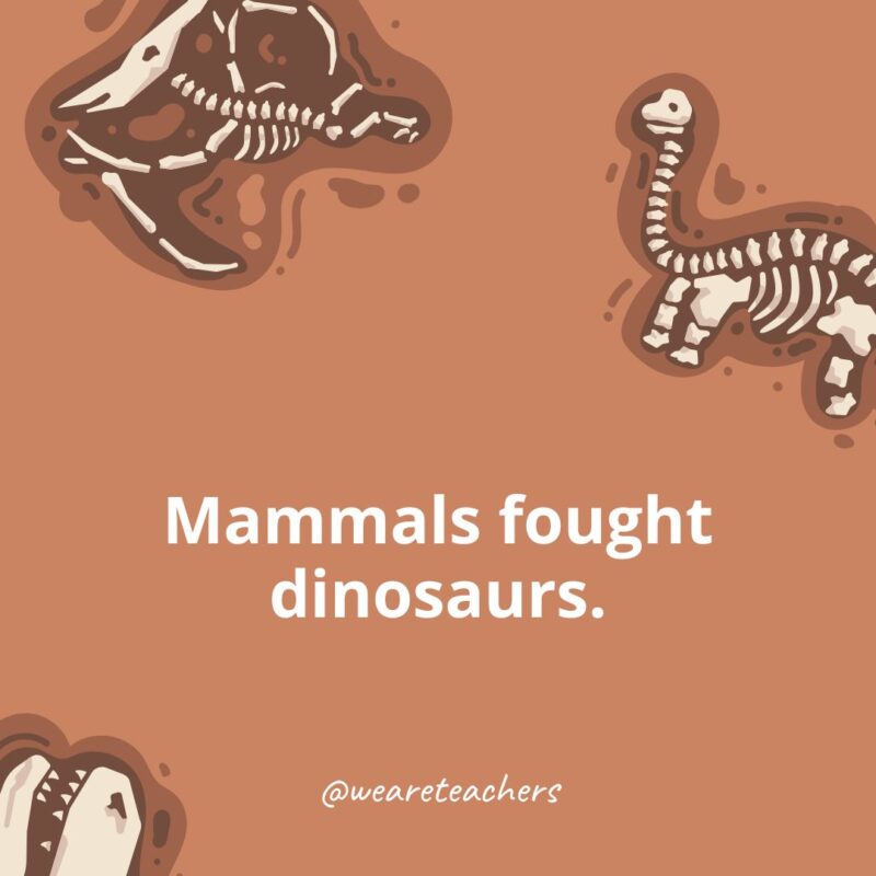 Mammals fought dinosaurs. Mammals fought dinosaurs.