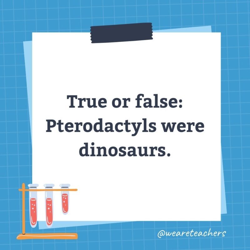 True or false: Pterodactyls were dinosaurs. True or false: Pterodactyls were dinosaurs.