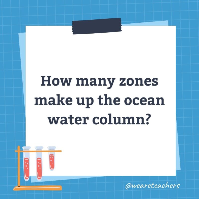 How many zones make up the ocean water column? How many zones make up the ocean water column?- science trivia