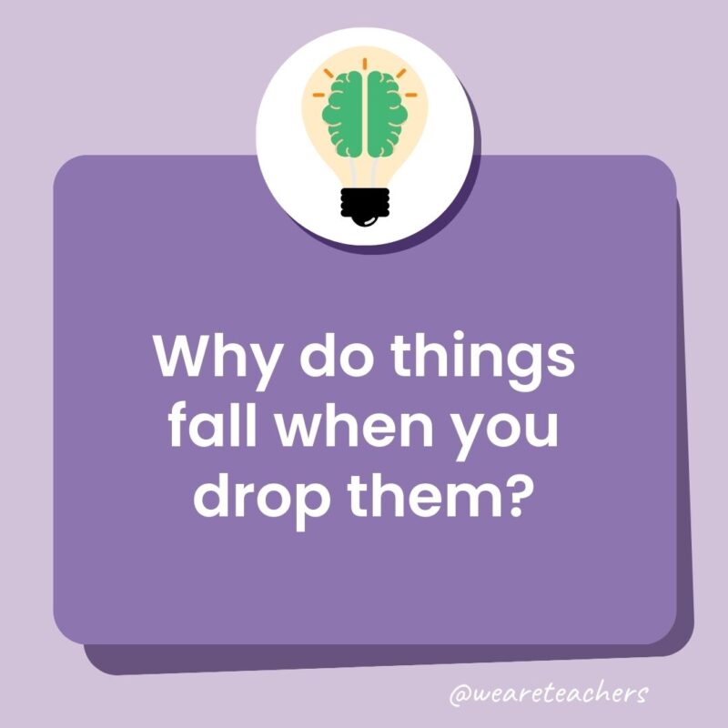 Trivia questions for kids: Why do things fall when you drop them? Trivia questions for kids: Why do things fall when you drop them?