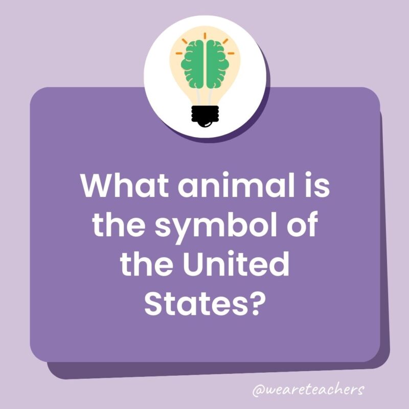 Trivia questions for kids: What animal is the symbol of America? Trivia questions for kids: What animal is the symbol of America?