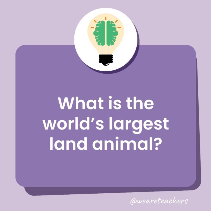 Trivia questions for kids: What is the world’s largest land animal? Trivia questions for kids: What is the world’s largest land animal?