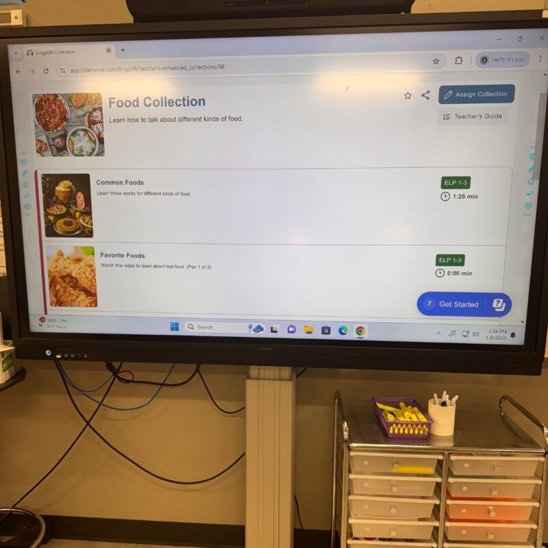 5 Food Collection up on the Smartboard