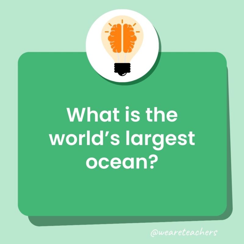 What is the world’s largest ocean? What is the world's largest ocean?