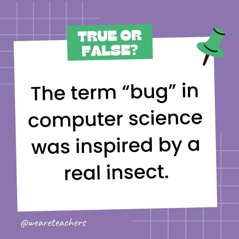 The term “bug” in computer science was inspired by a real insect. The term “bug” in computer science was inspired by a real insect.