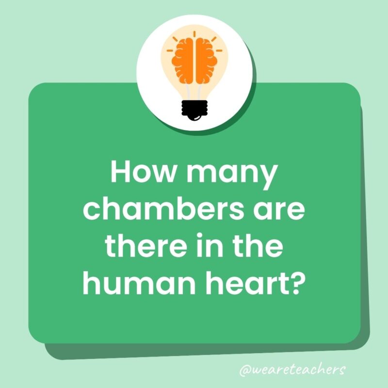 How many chambers are there in the human heart? How many chambers are there in the human heart?