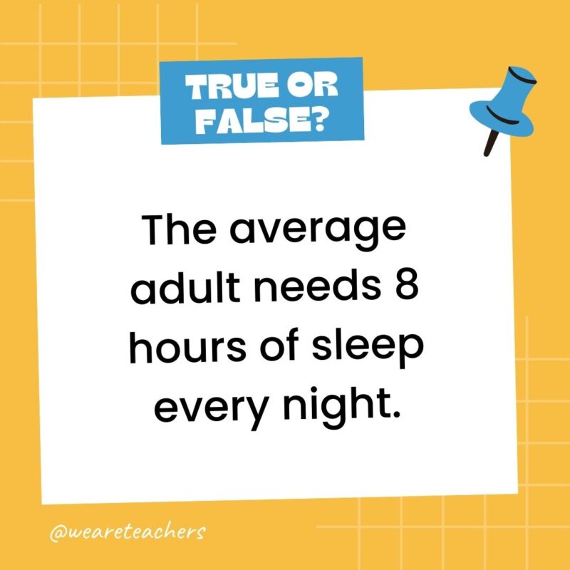The average adult needs 8 hours of sleep every night. The average adult needs 8 hours of sleep every night.