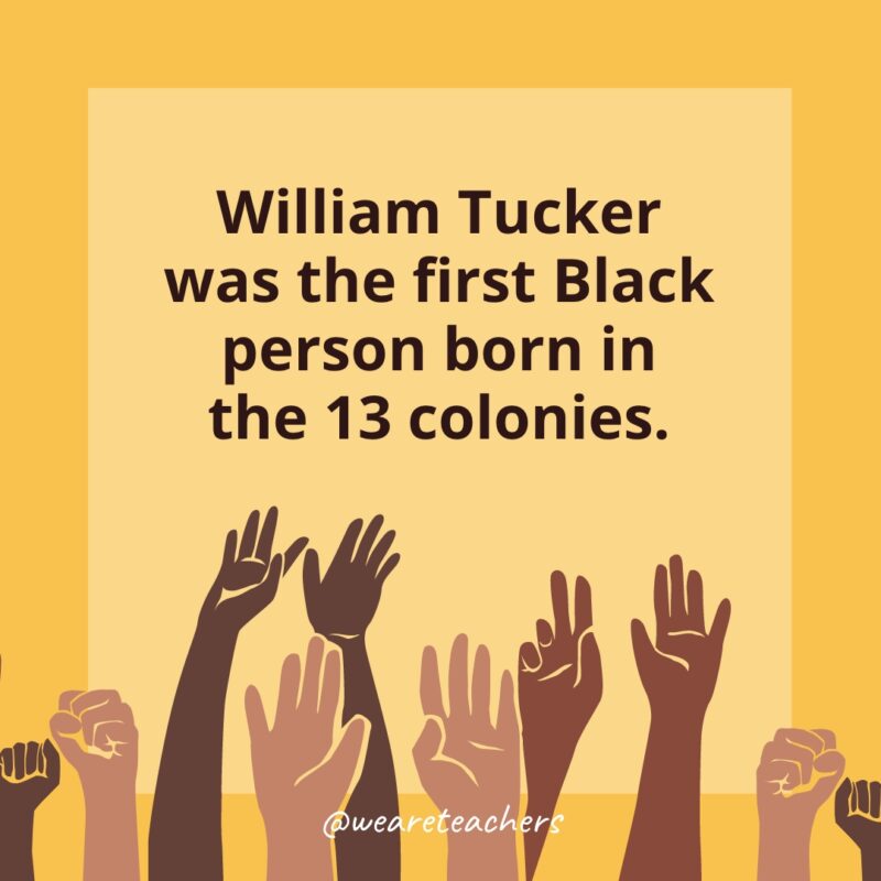 BHM_wm_tucker