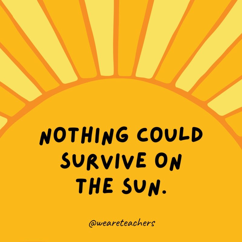 Nothing could survive on the sun. Nothing could survive on the sun.- facts about the sun