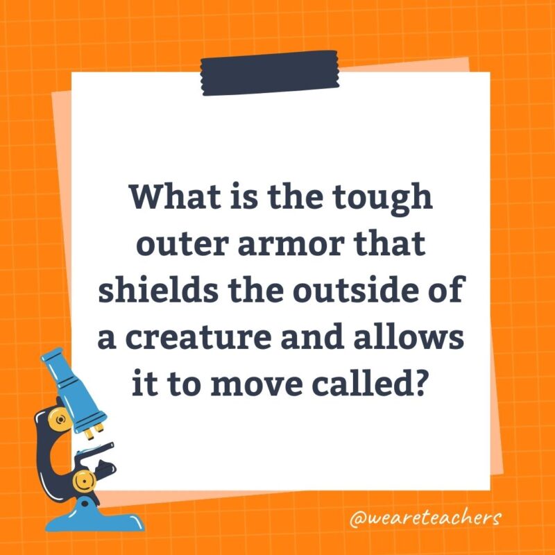 Wards-Science-Trivia-12 What is the tough outer armor that shields the outside of a creature and allows it to move called?