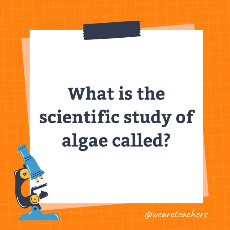 Wards-Science-Trivia-13 What is the scientific study of algae called?