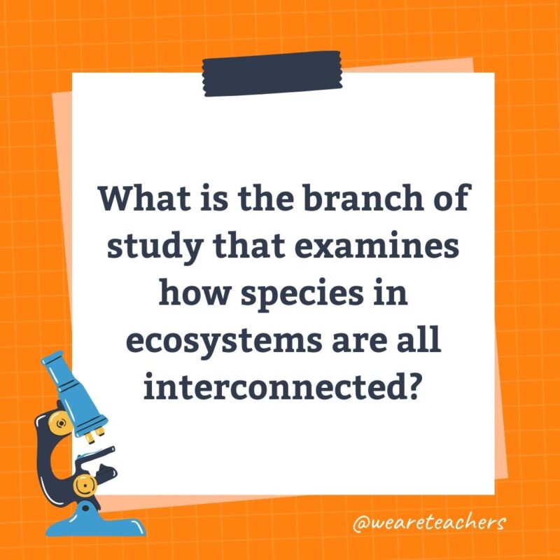 Wards-Science-Trivia-14 What is the branch of study that examines how species in ecosystems are all interconnected?- science trivia