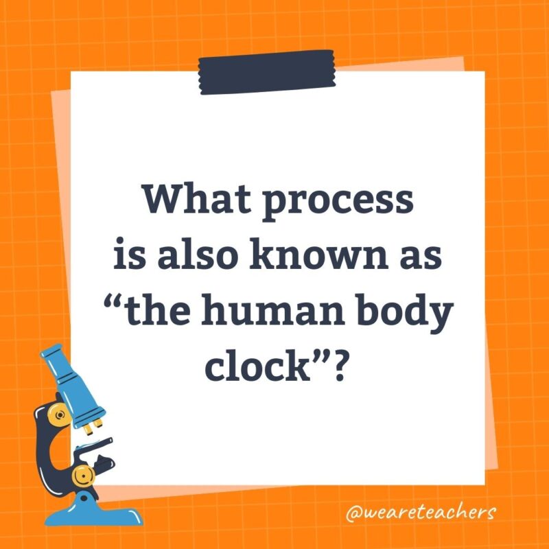 Wards-Science-Trivia-16 What process is also known as “the human body clock”?- science trivia