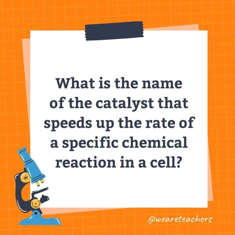 Wards-Science-Trivia-17 What is the name of the catalyst that speeds up the rate of a specific chemical reaction in a cell?