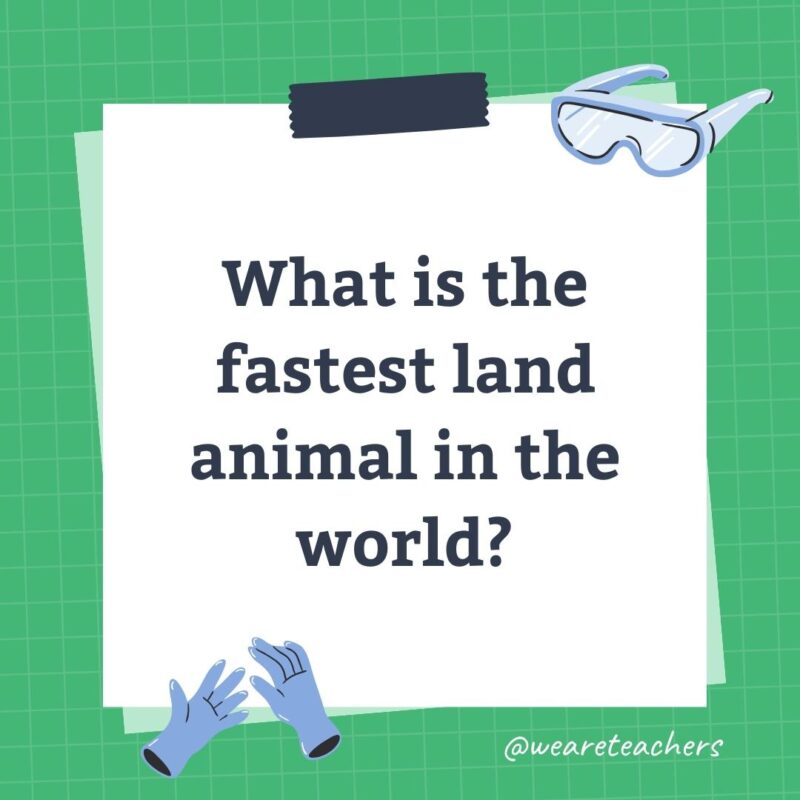 Wards-Science-Trivia-2 What is the fastest land animal in the world?