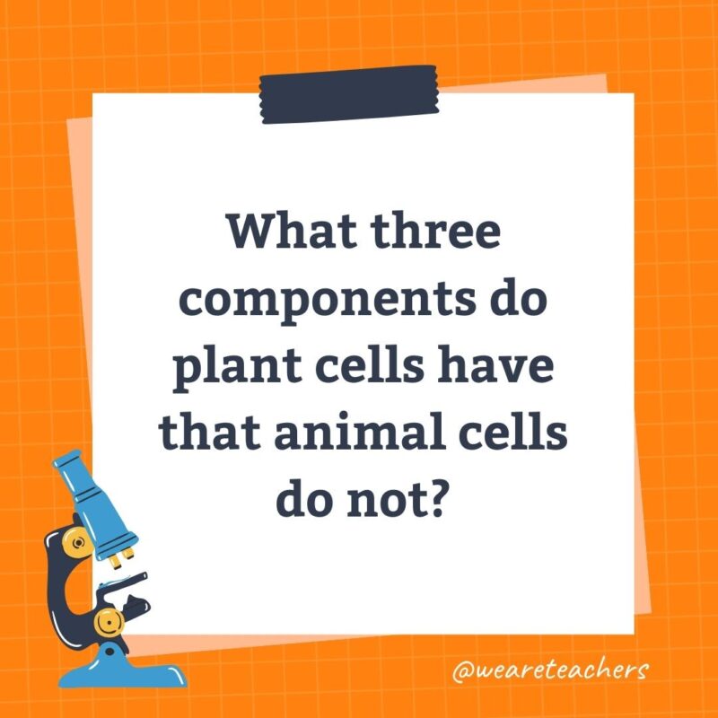 Wards-Science-Trivia-20 What three components do plant cells have that animal cells do not?