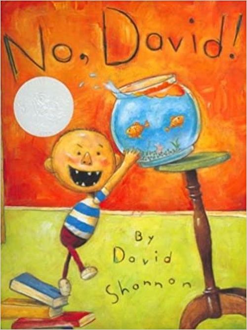 No, David! (Caldecott Winners)