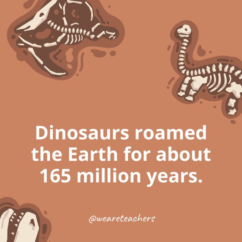 Dinosaurs ruled the Earth for more than 150 million years. Dinosaurs ruled the Earth for more than 150 million years.