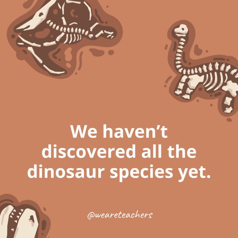 We haven’t discovered all the dinosaur species yet. We haven’t discovered all the dinosaur species yet.-dinosaur facts for kids