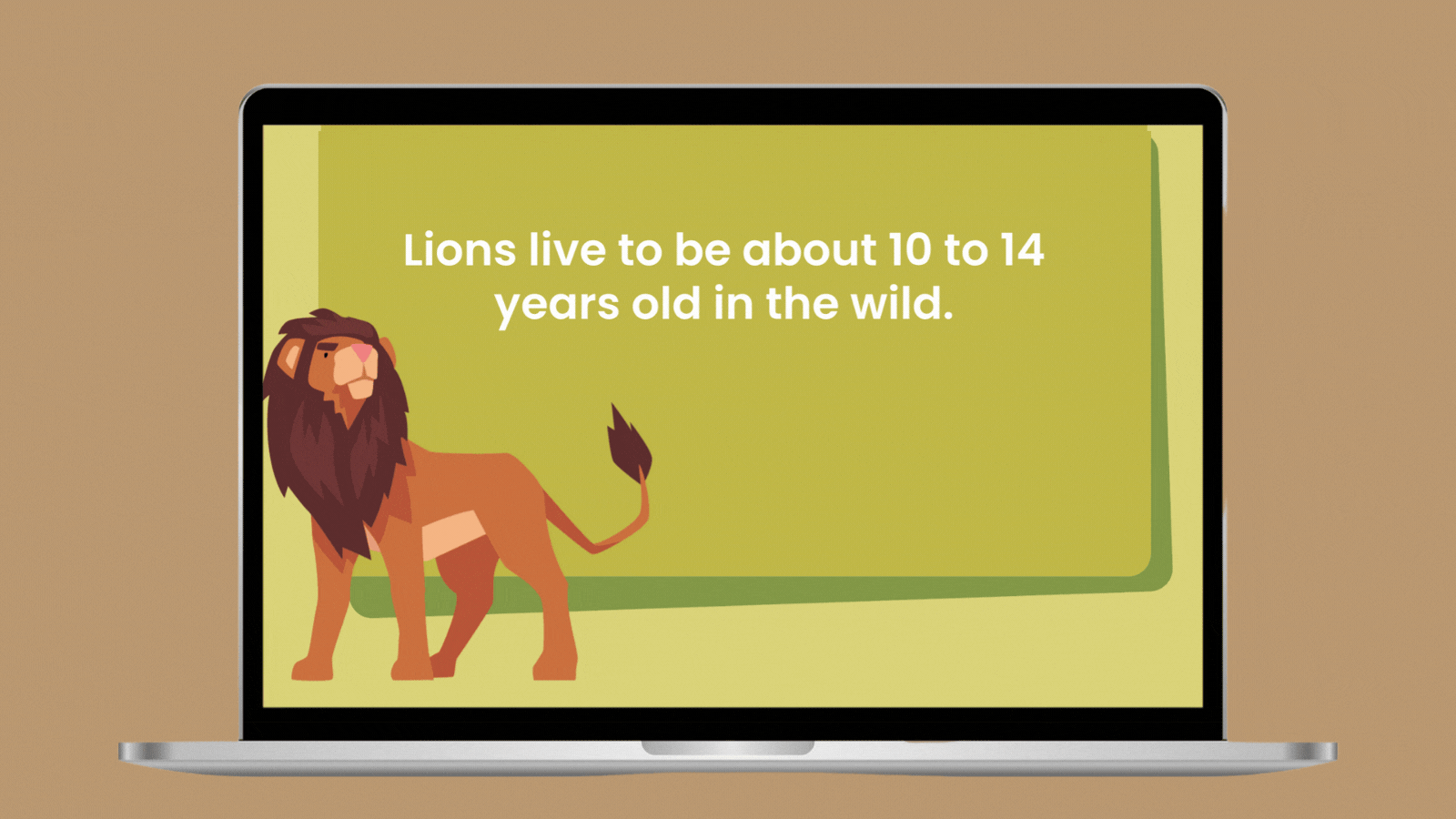 Facts About Lions Slideshow Facts About Lions Slideshow