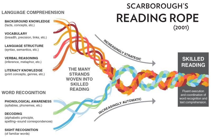 Scarborough’s Rope Model A diagram of Scarborough's Rope, a model that explains skilled literacy