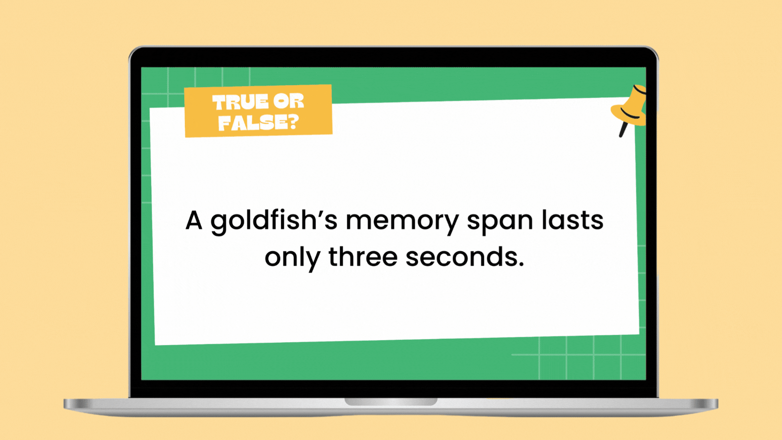 true or false questions Get your Google Slides with all the true and false questions and answers above:
