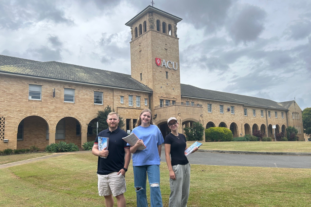 Teaching enrolments on the rise