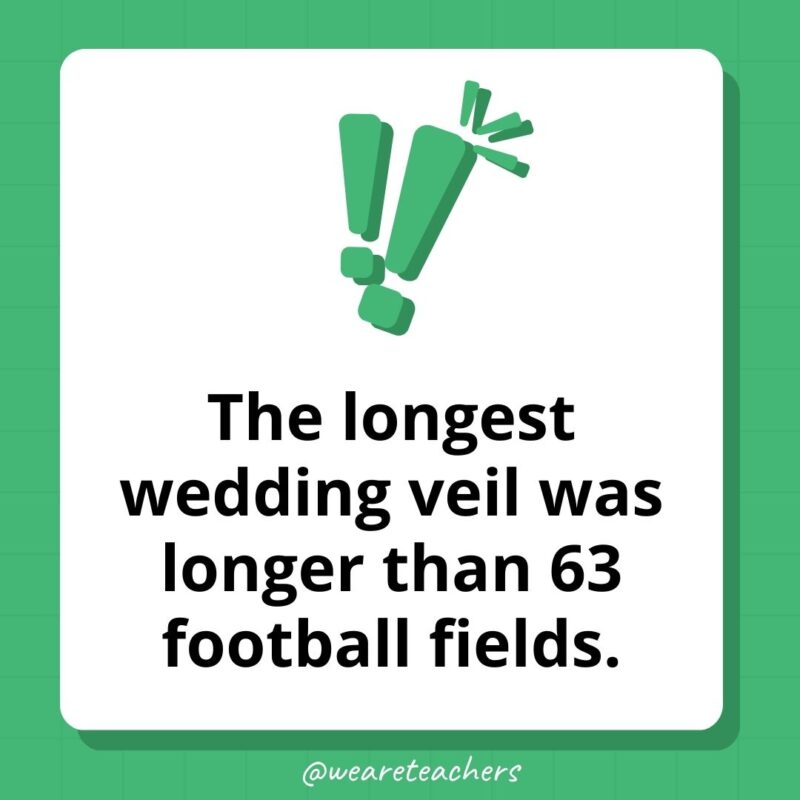 The longest wedding veil was longer than 63 football fields. The longest wedding veil was longer than 63 football fields.
