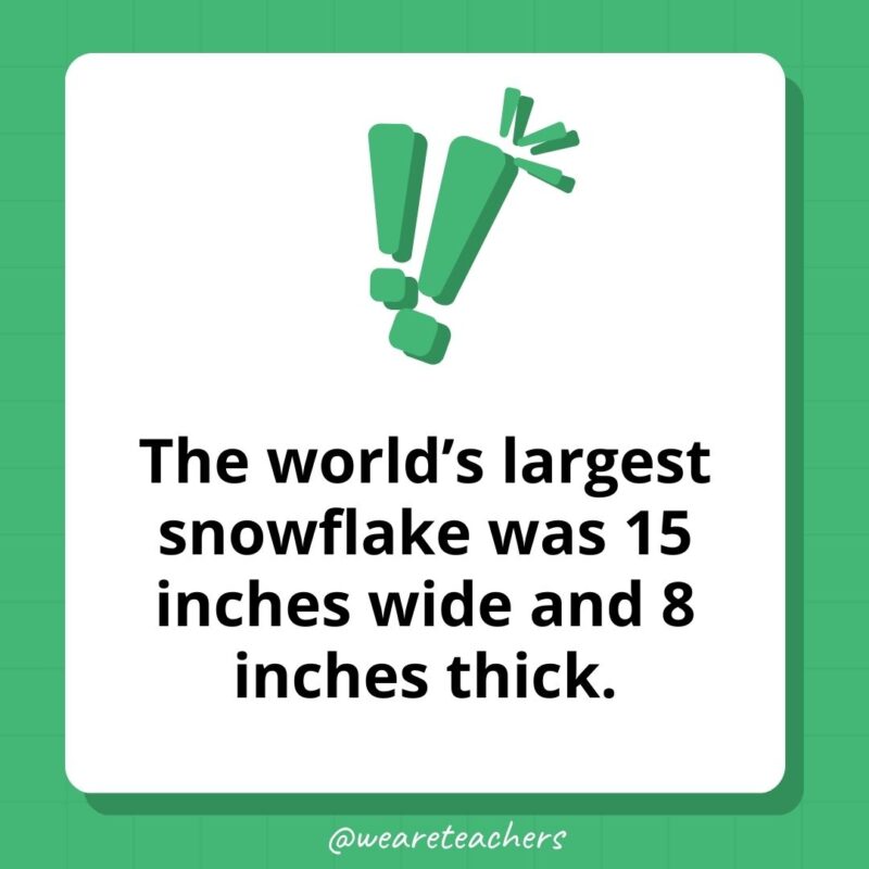 The world’s largest snowflake was 15 inches wide and 8 inches thick. The world's largest snowflake was 15 inches wide and 8 inches thick.