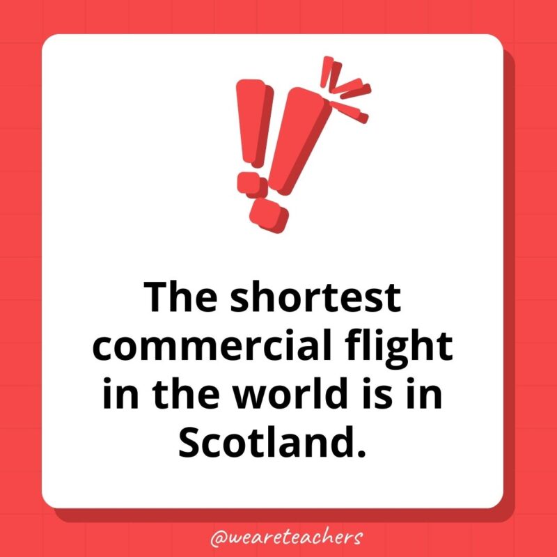 The shortest commercial flight in the world is in Scotland. The shortest commercial flight in the world is in Scotland.