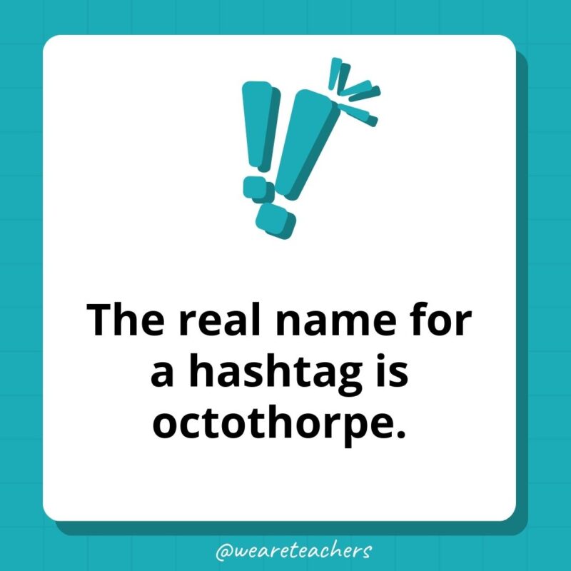 The real name for a hashtag is octothorpe- weird fun facts The real name for a hashtag is octothorpe- weird fun facts