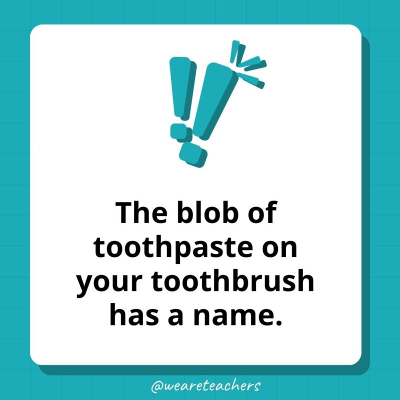 The blob of toothpaste on your toothbrush has a name. The blob of toothpaste on your toothbrush has a name.