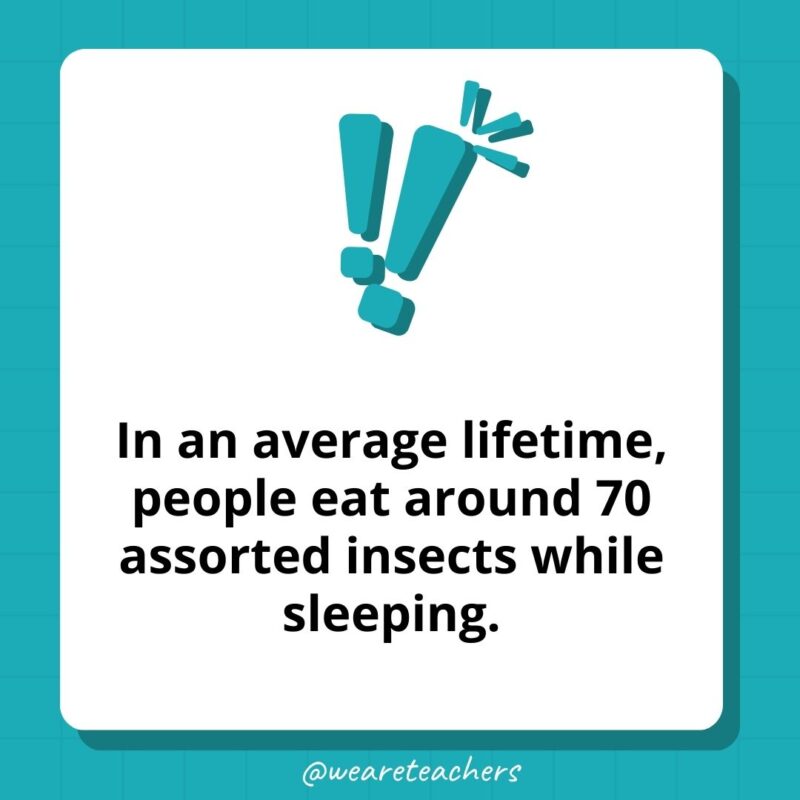 In an average lifetime, people eat around 70 assorted insects while sleeping.- weird fun facts In an average lifetime, people eat around 70 assorted insects while sleeping.- weird fun facts