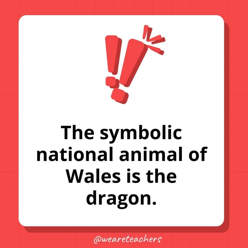 The symbolic national animal of Wales is the dragon.- weird fun facts The symbolic national animal of Wales is the dragon.- weird fun facts