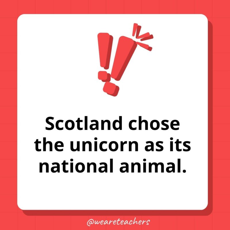 Weird fun facts – Scotland chose the unicorn as its national animal. Weird fun facts - Scotland chose the unicorn as its national animal.