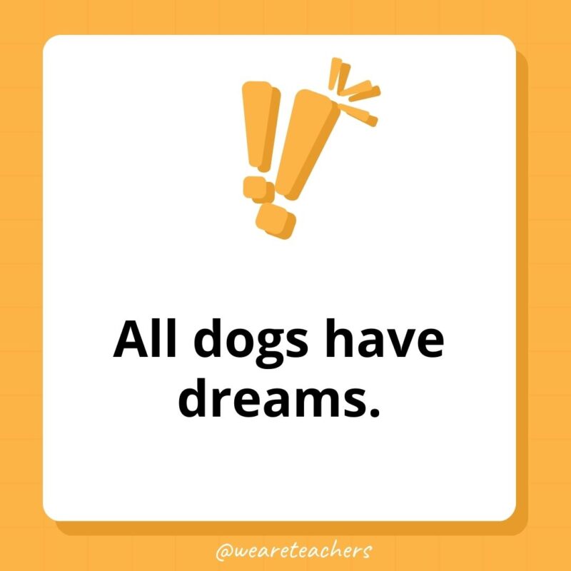 Weird fun facts – All dogs have dreams. Weird fun facts - All dogs have dreams.