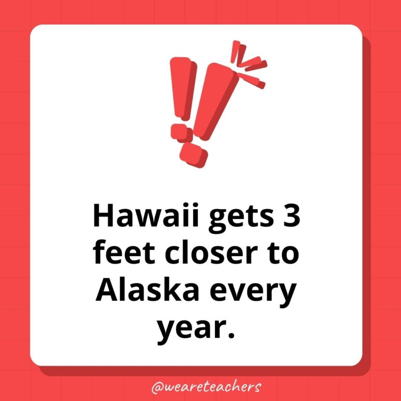 Hawaii gets 3 feet closer to Alaska every year. Hawaii gets 3 feet closer to Alaska every year.