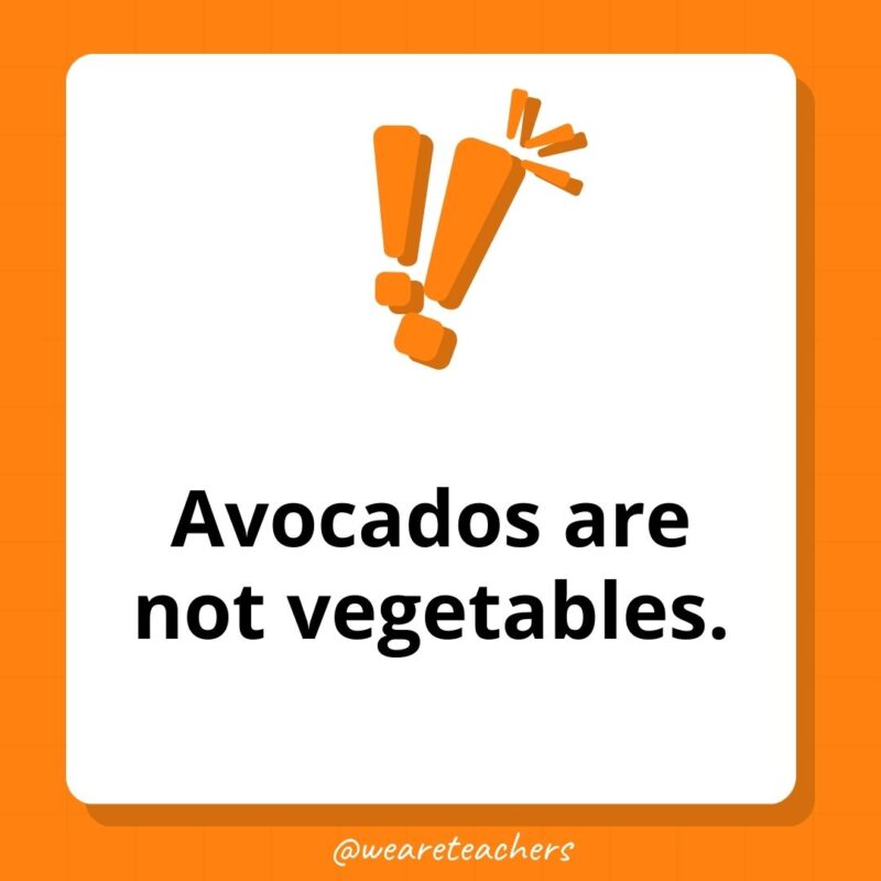 Avocados are not vegetables. Avocados are not vegetables.