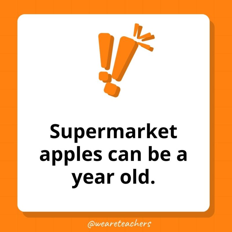 Supermarket apples can be a year old. Supermarket apples can be a year old.